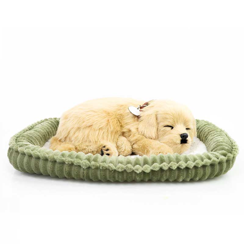 Perfect petzzz golden retriever 2025